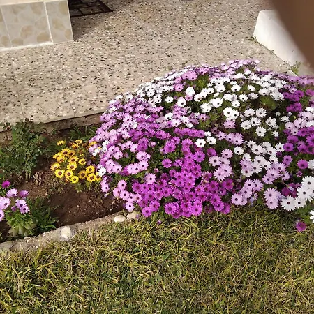 Hébergement de vacances Kalyves, 2 Bedrooms, Sleeps 6, 700sqmgarden, 180m From *