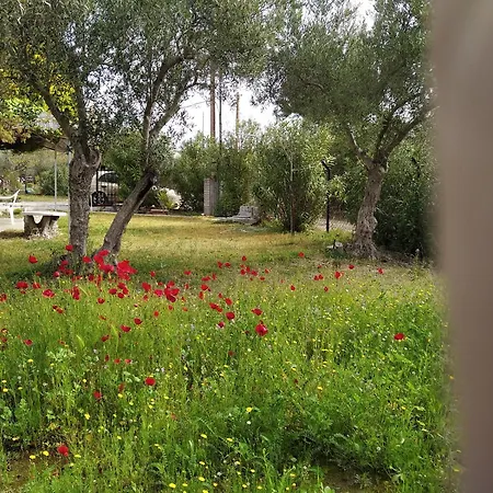 Kalyves, 2 Bedrooms, Sleeps 6, 700sqmgarden, 180m From Hébergement de vacances
