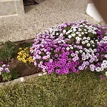 度假居 Kalyves, 2 Bedrooms, Sleeps 6, 700sqmgarden, 180m From *